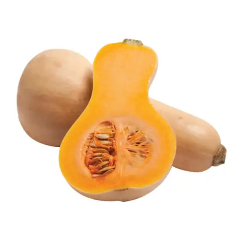 Butternut Pumpkin 1.2kg Spain